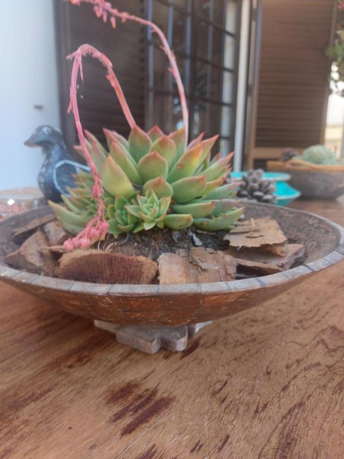 Casa 19 Homestay